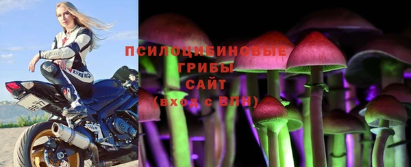 амф Пестово