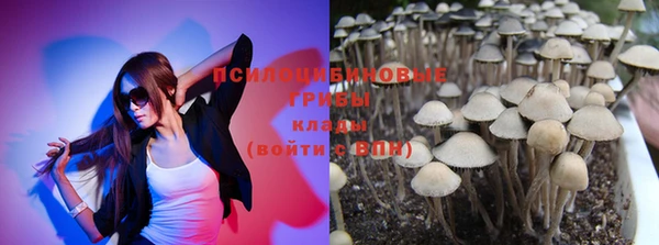 хмурый Абаза