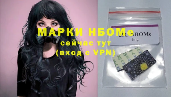 хмурый Абаза