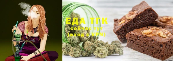 хмурый Абаза