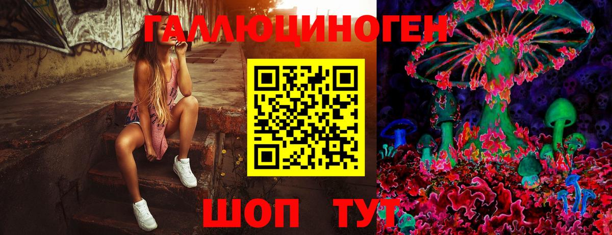 Псилоцибиновые грибы ЛСД  купить наркотик  Алапаевск  Вход с VPN  Псилоцибиновые грибы ЛСД 