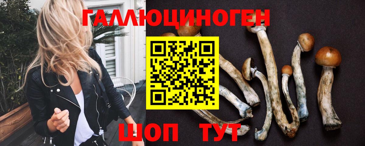 Псилоцибиновые грибы прущие грибы Алапаевск